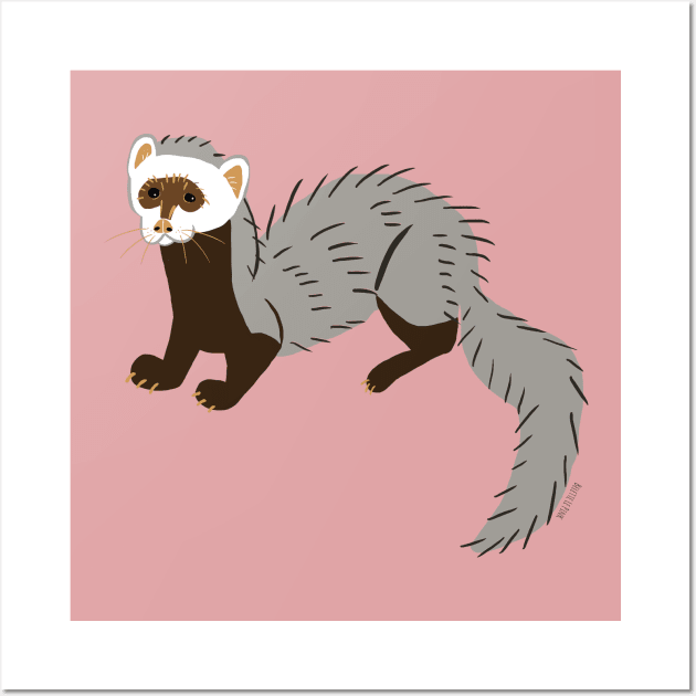 Grey Ferret Wall Art by belettelepink